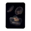 Suche nach salzwasser magnete Tierwelt