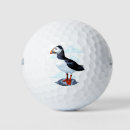 Suche nach atlantik Puffin