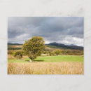 Suche nach moore postkarten Landschaft