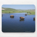 Suche nach schluchten mousepads Tier