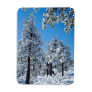 Suche nach schneebedeckte bäume magnete Blau
