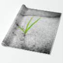 Suche nach asphalt geschenkpapier Textur