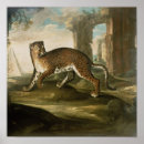 Suche nach jaguar tier poster Wild