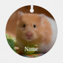 Suche nach hamster ornamente Maus