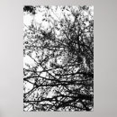 Suche nach gepunktete poster Baum