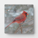 Suche nach schnee fotoplatten Winter