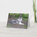 Suche nach heiseres karten Hund