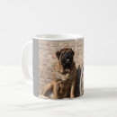 Suche nach wachhund tassen Für ihn