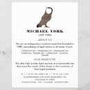 Suche nach eule flyer Für alle