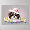 Suche nach ostersonntag poster Ostereier