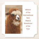 Suche nach lustiges lama untersetzer Tier