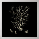 Suche nach korallenrotes poster Strand