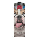 Suche nach english bulldog Niedlich