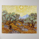 Suche nach olivenbäume van gogh poster Landschaft