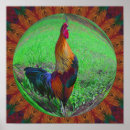 Suche nach rooster poster Bauernhof
