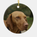 Suche nach rhodesian ridgeback ornamente Hund