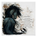 Suche nach friesisches pferd poster Stallion