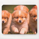 Suche nach wurf mousepads Für alle
