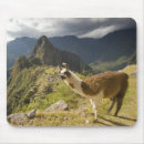 Suche nach inka mousepads Berg