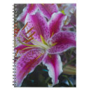 Suche nach magentarote blume Mit blumen