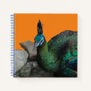 Suche nach pfau notizbuch Jede person