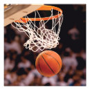 Suche nach basketballkorb poster Sport