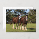 Suche nach bob langrish postkarten Zwei zusammen