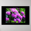 Suche nach irischer stolz poster Ireland