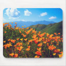 Suche nach mohn mousepads Blühen