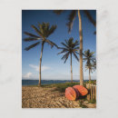 Suche nach st kitts postkarten Tropisch