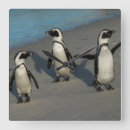 Suche nach pinguin wanduhren Natur