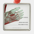 Suche nach füße ornamente Doktorbüroplakat