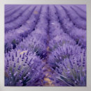 Suche nach impressionistische poster Landschaft