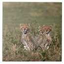 Suche nach kenia fliesen Baby