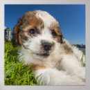 Suche nach kanada kunst Tier