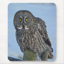 Suche nach graue eule mousepads Uhu