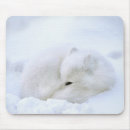 Suche nach tundra mousepads Churchill