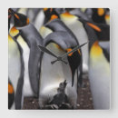 Suche nach penguin wanduhren Animal