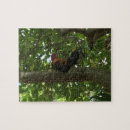 Suche nach hahn puzzle Vogel