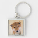 Suche nach shiba schlüsselanhänger Welpe