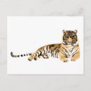 Suche nach tiger tiger postkarten Wildtiere