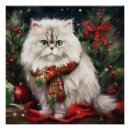 Suche nach persische katze poster Persikatze