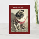 Suche nach liebe mops karten Jede person