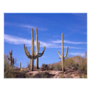 Suche nach arizona wüste poster Kaktus