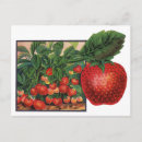 Suche nach vintage erdbeeren postkarten Bauer
