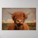 Suche nach highland cow poster Haarig