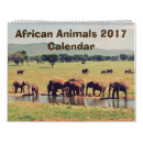 Suche nach afrikanisch kalender Zebra