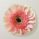 Suche nach gerbera kissen Botanisch