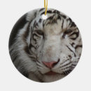 Suche nach bengalische katze ornamente Tier