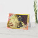 Suche nach siam postkarten Feline